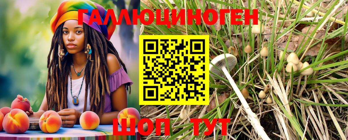 Псилоцибиновые грибы Psilocybe Троицк